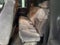 2003 GMC Sierra 2500 HD SLE