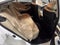2022 Subaru Legacy Limited