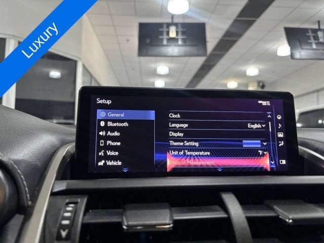 2019 Lexus NX 300 NX 300